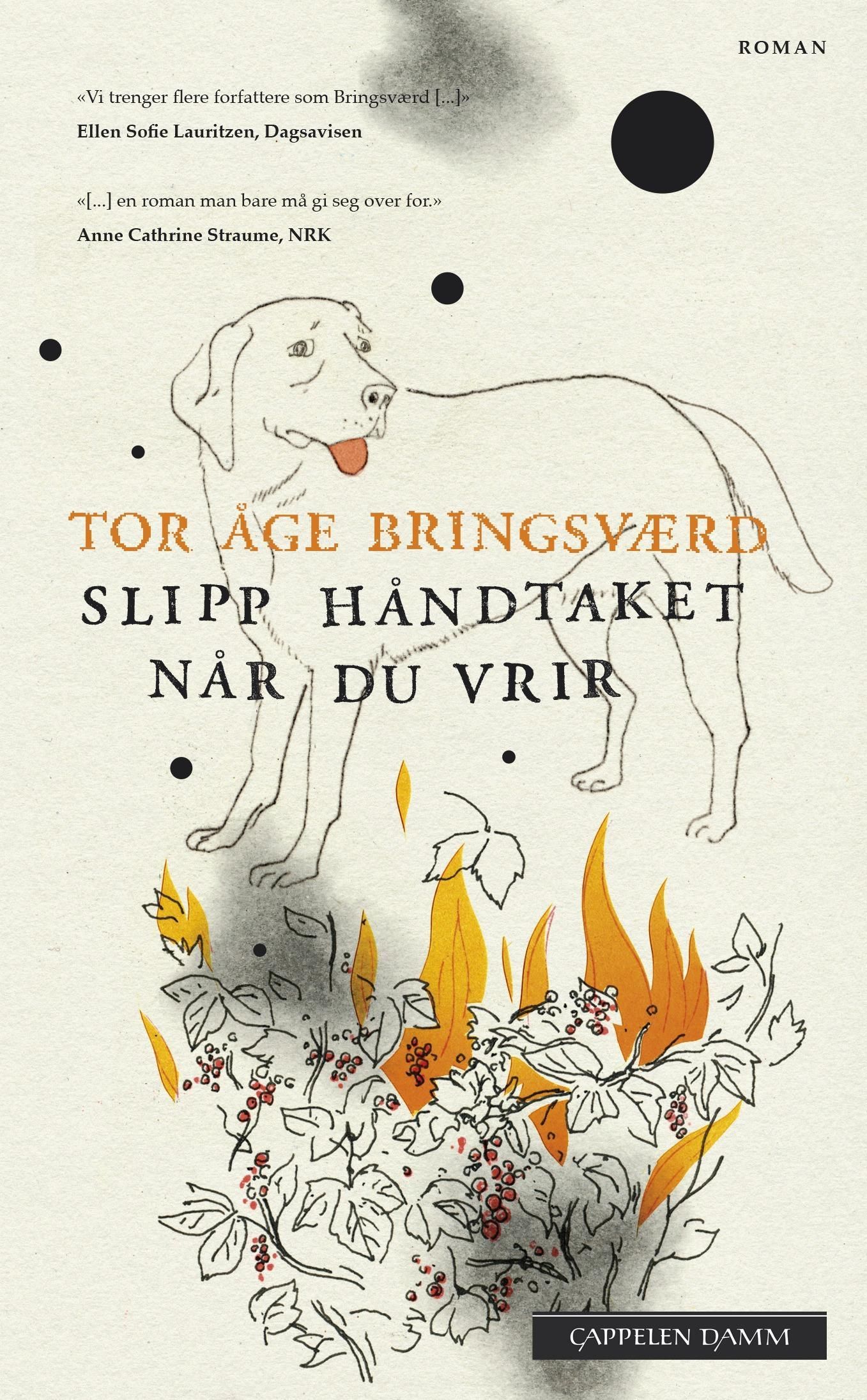 Slipp håndtaket når du vrir : roman