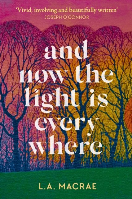 And Now the Light is Everywhere : A stunning debut novel of family secrets and redemption