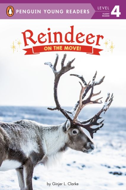 Reindeer : On the Move!
