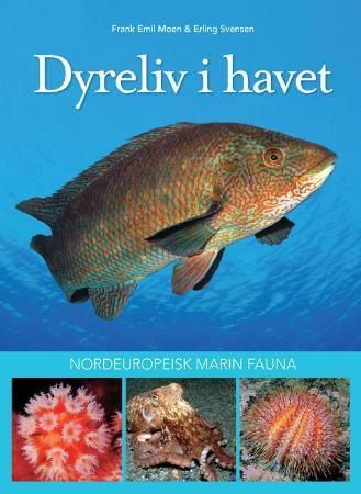 Dyreliv i havet : nordeuropeisk marin fauna