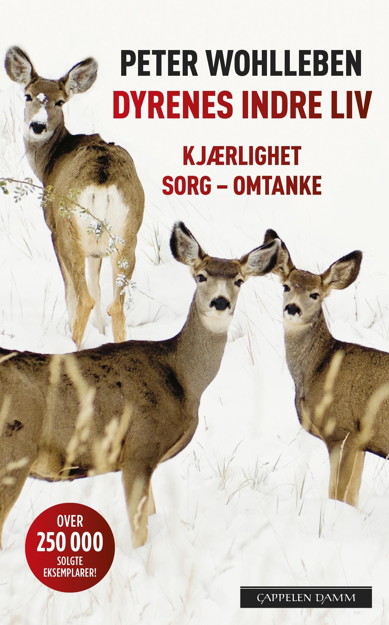 Dyrenes indre liv : kjærlighet, sorg, omtanke