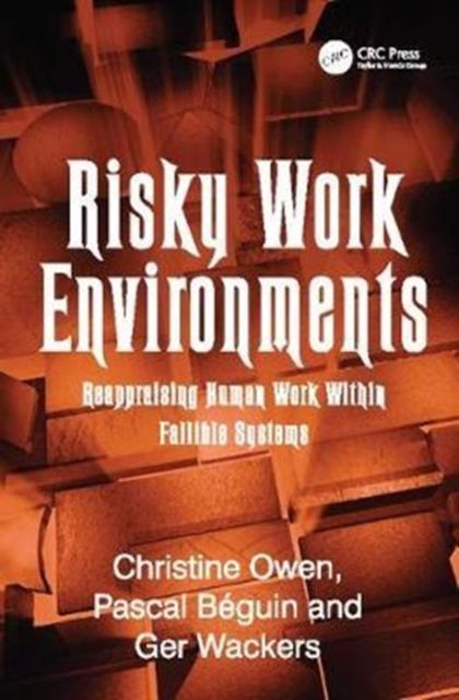 Risky Work Environments : Reappraising Human Work Within Fallible Systems