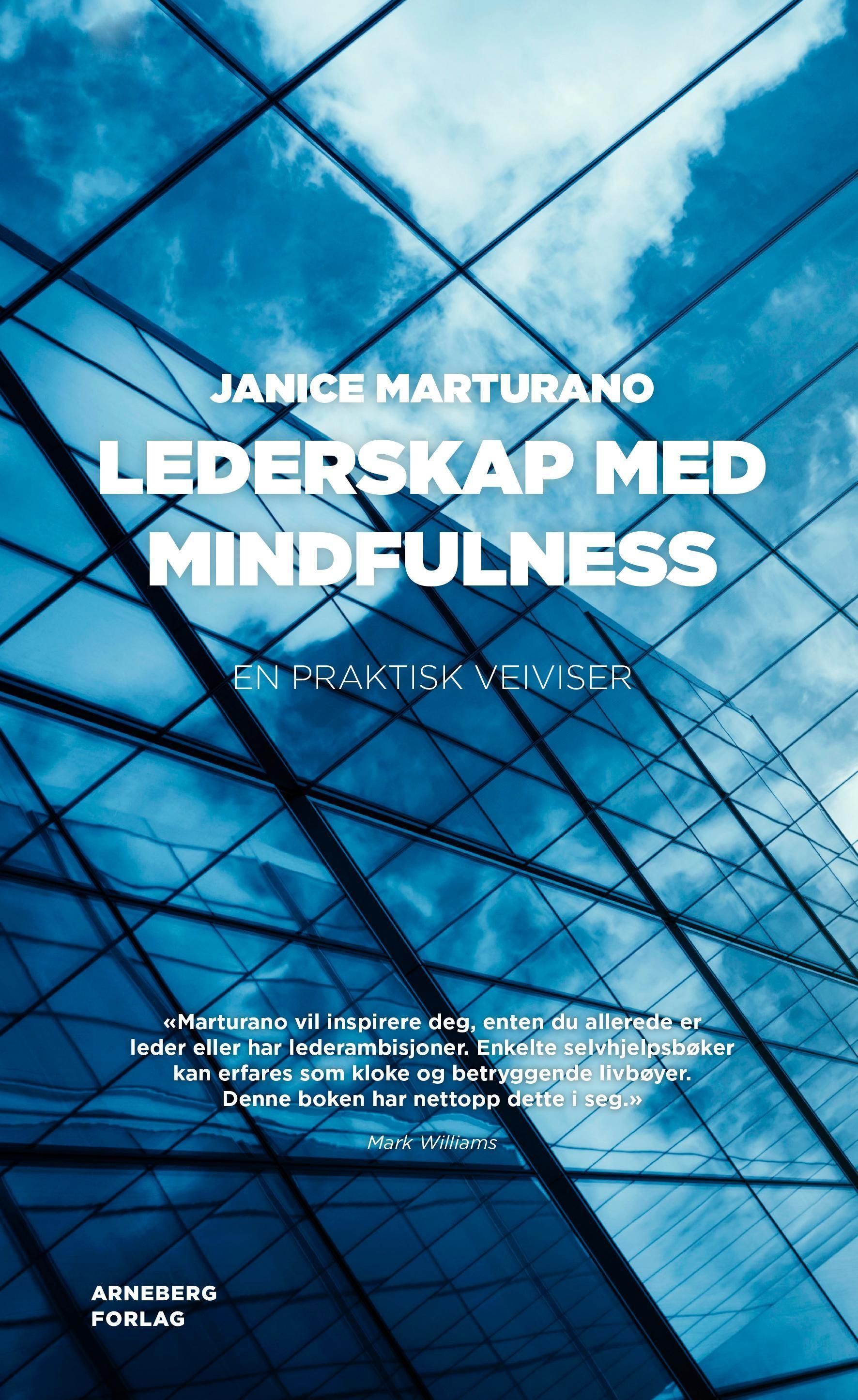 Lederskap med mindfulness : en praktisk veiviser