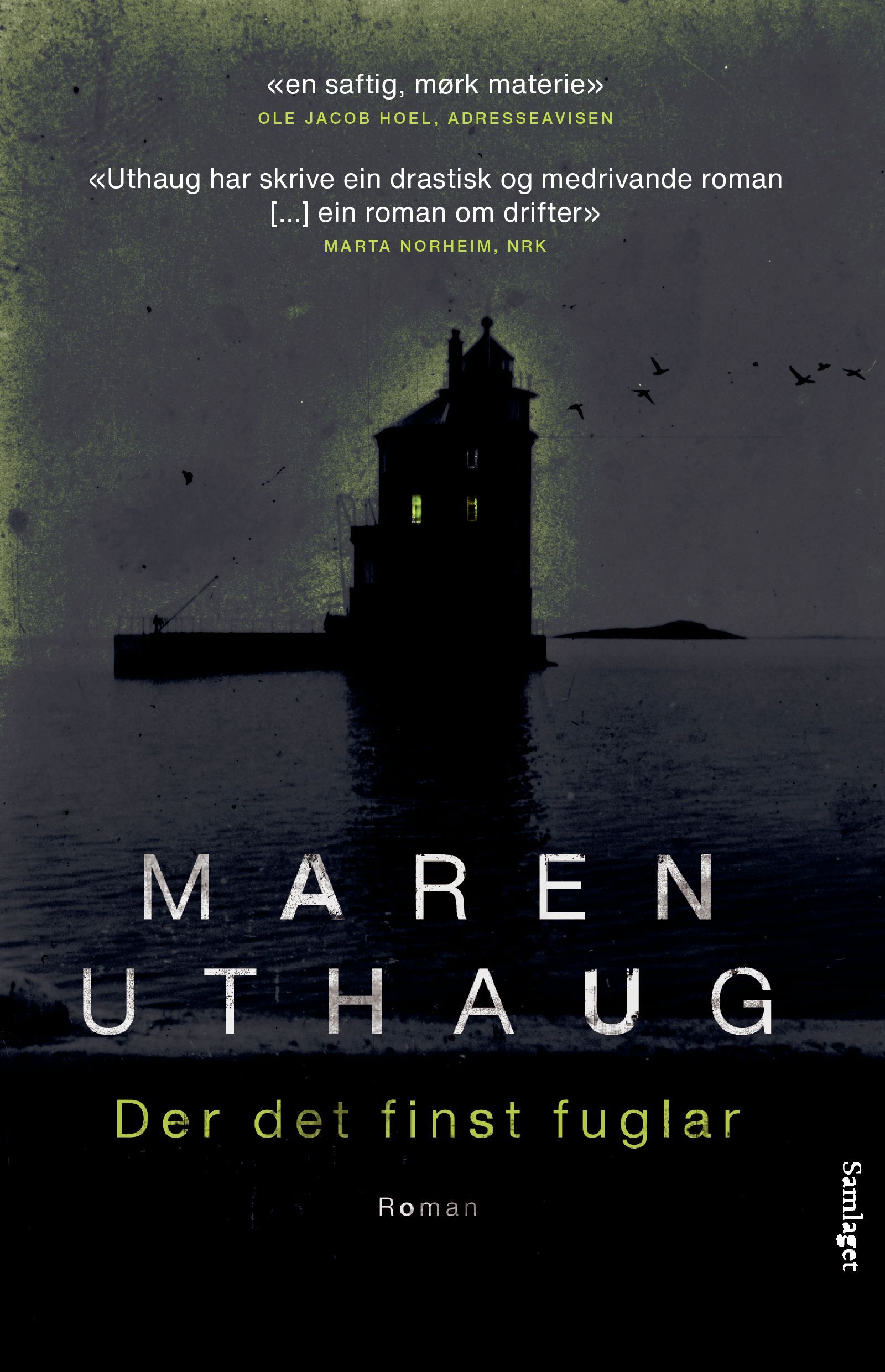Der det finst fuglar : roman