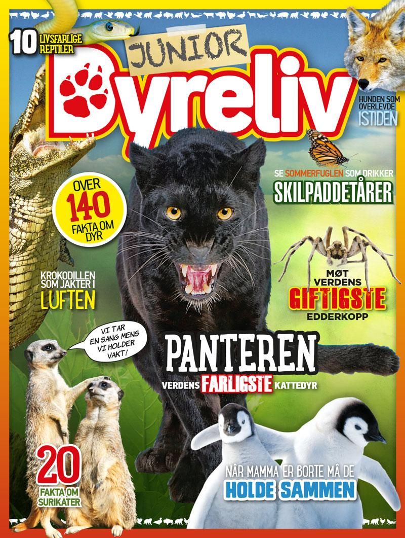 Dyreliv : junior