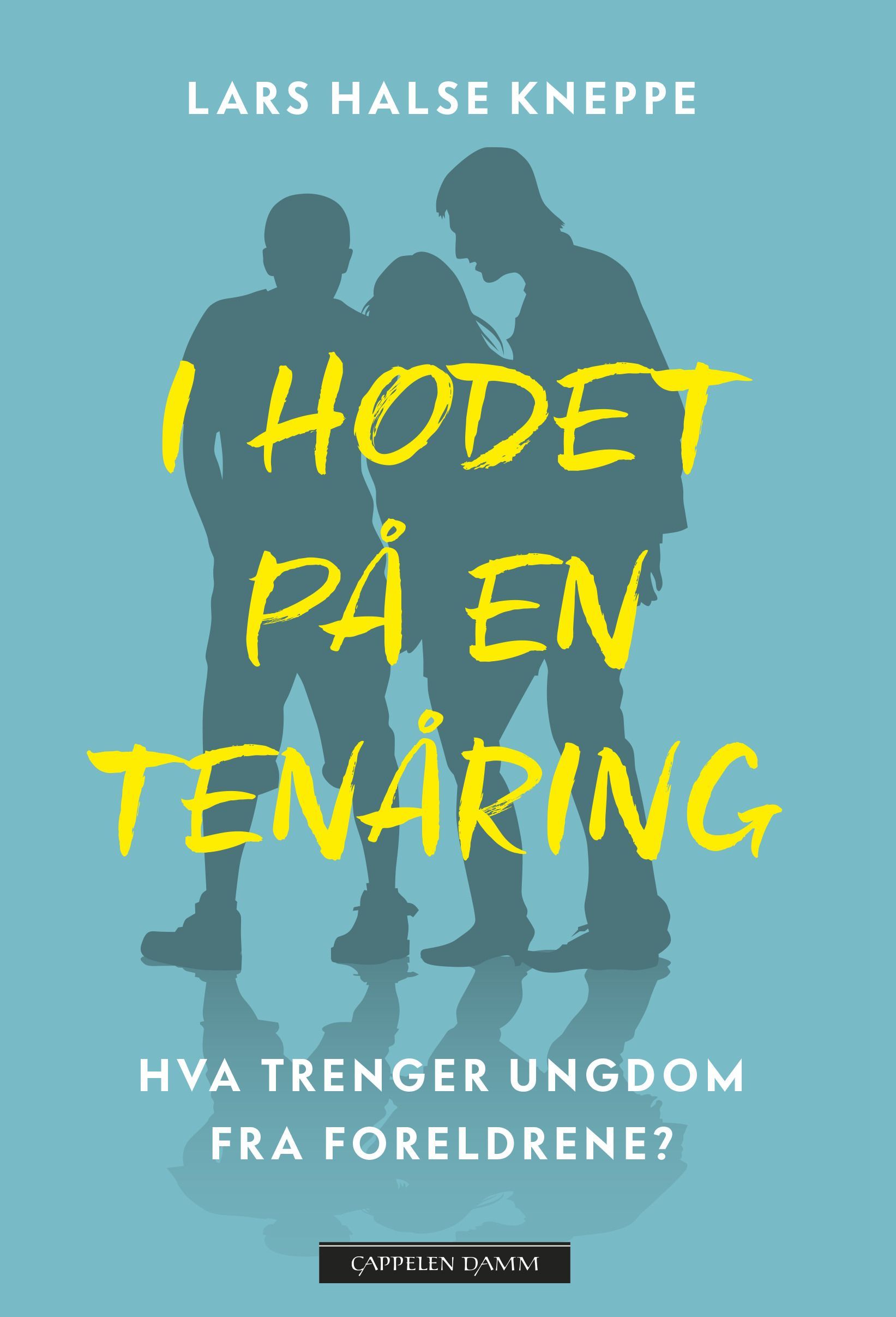 I hodet på en tenåring : hva trenger ungdom fra foreldrene?