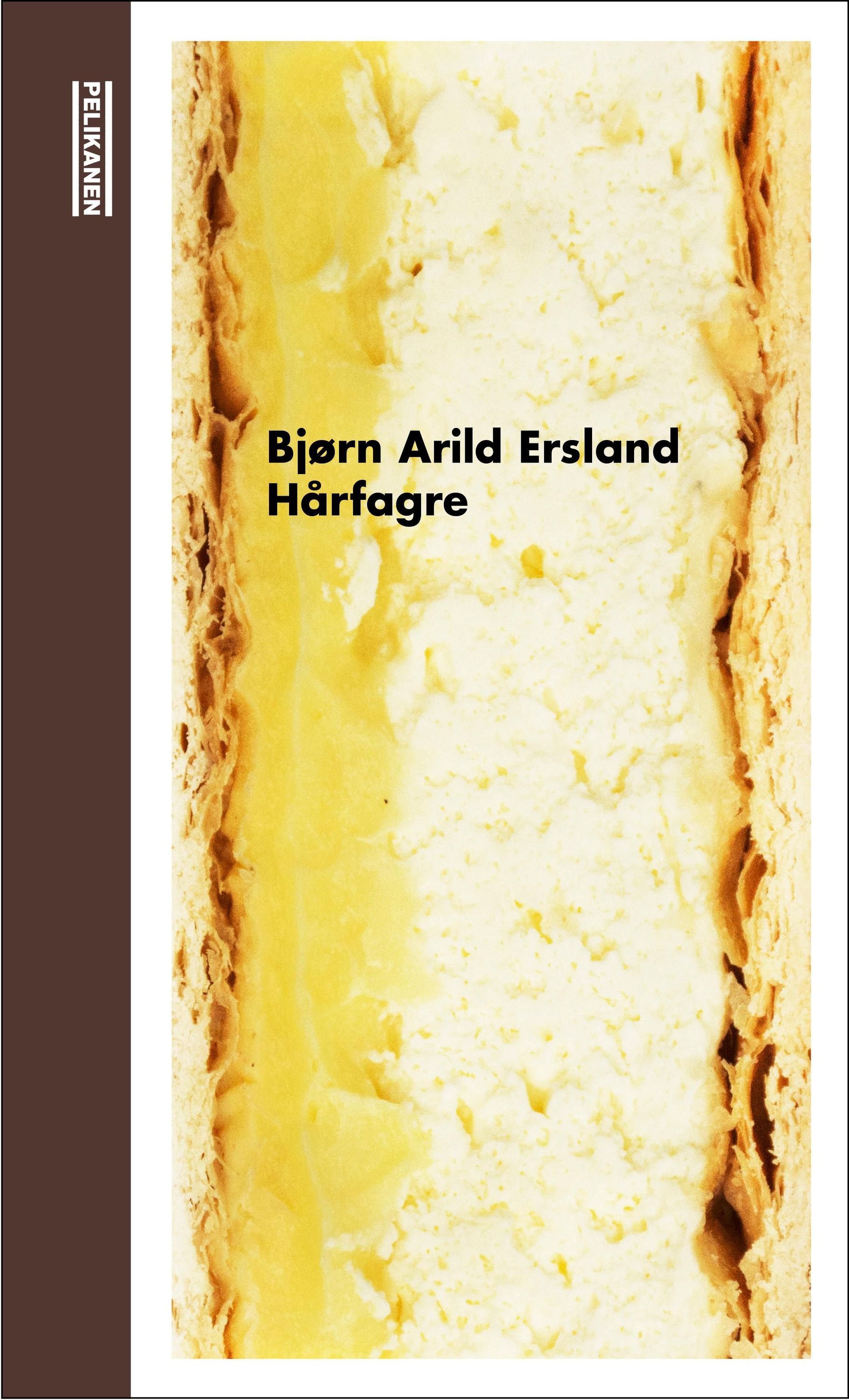 Hårfagre : roman