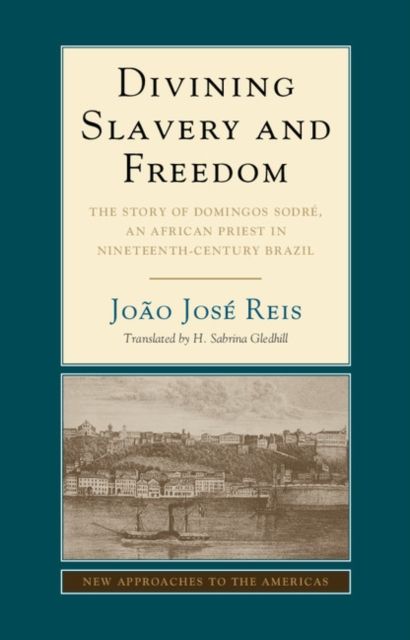 Divining Slavery and Freedom : The Story of Domingos Sodre, an African Priest in Nineteenth-Century Brazil