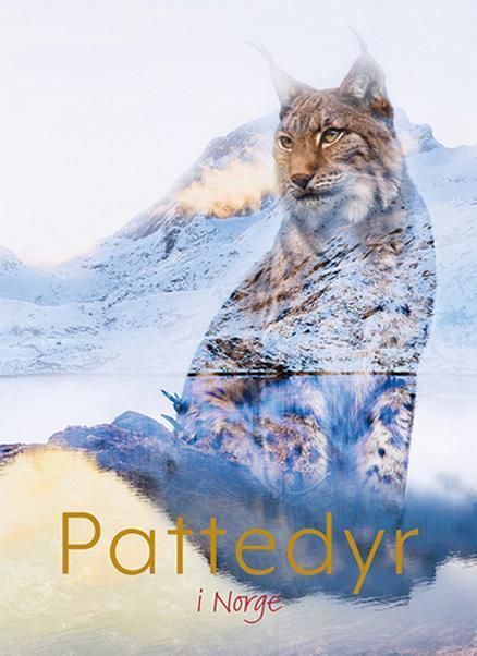 Pattedyr