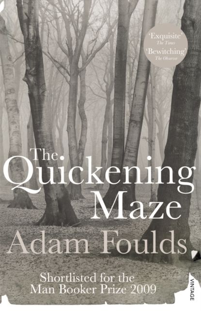 Forsidebilde av The Quickening Maze