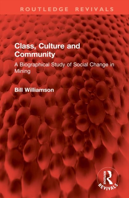 Class, Culture and Community : A Biographical Study of Social Change in Mining