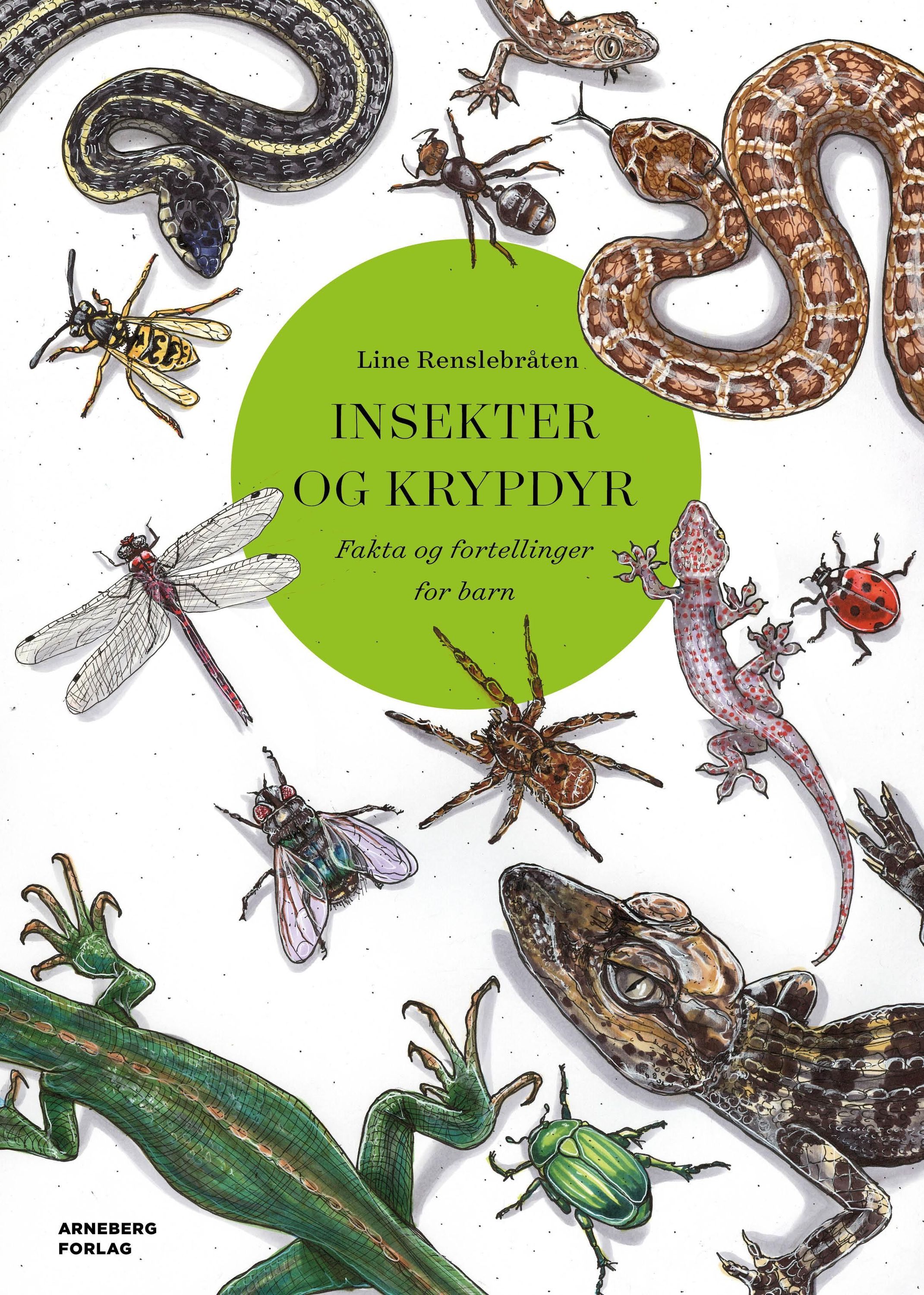 Insekter og krypdyr : fakta og fortellinger for barn