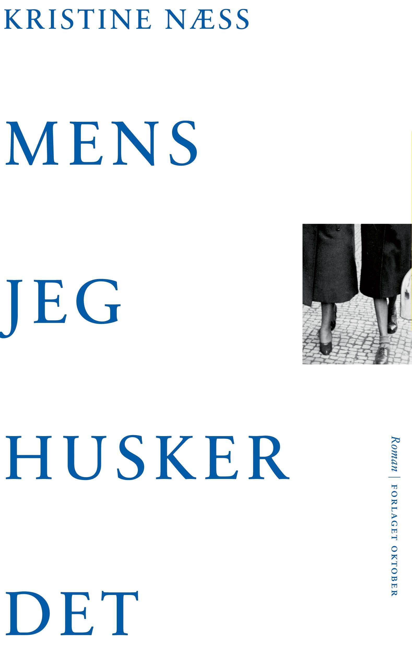 Mens jeg husker det : roman