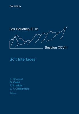 Soft Interfaces : Lecture Notes of the Les Houches Summer School: Volume 98, July 2012