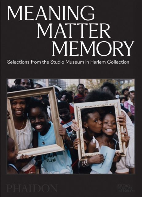 Meaning Matter Memory : Selections from the Studio Museum in Harlem Collection