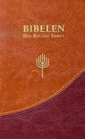 Bibelen : Den hellige skrift : Det gamle og Det nye testamentes kanoniske bøker