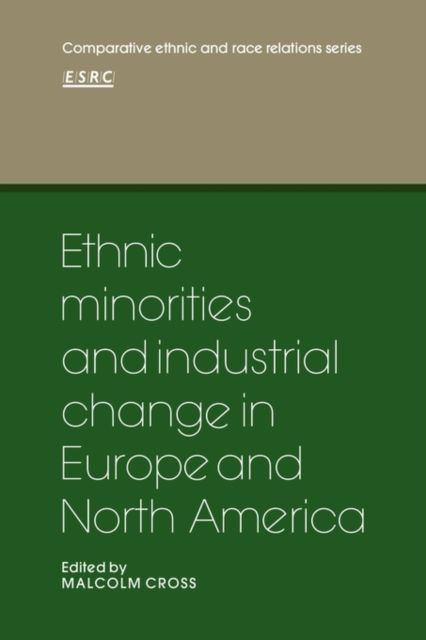 Ethnic Minorities and Industrial Change in Europe and North America