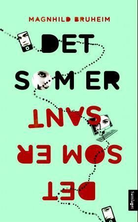 Det som er sant : roman