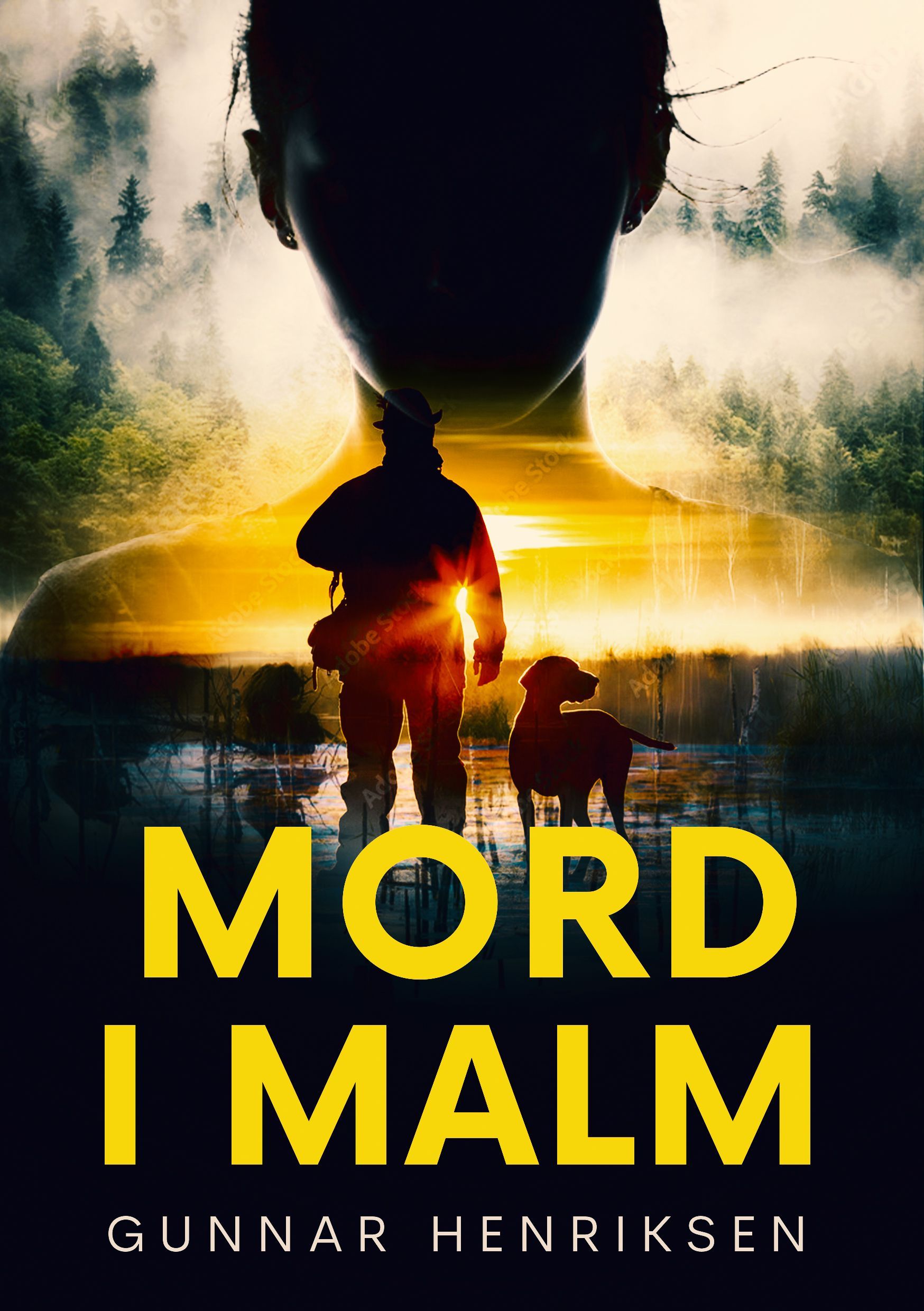 Mord i Malm : spenningsroman