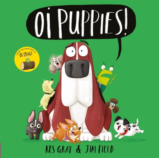 Oi puppies!