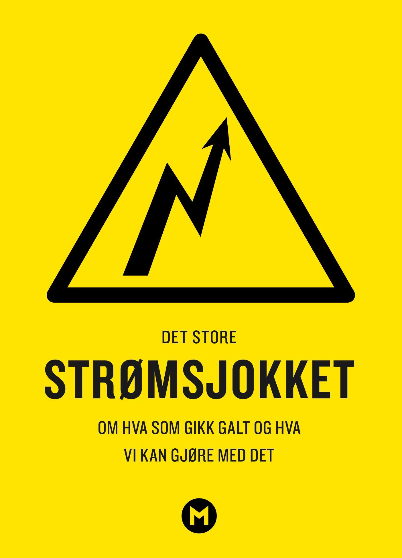 Det store strømsjokket : om hva som gikk galt og hva vi kan gjøre med det