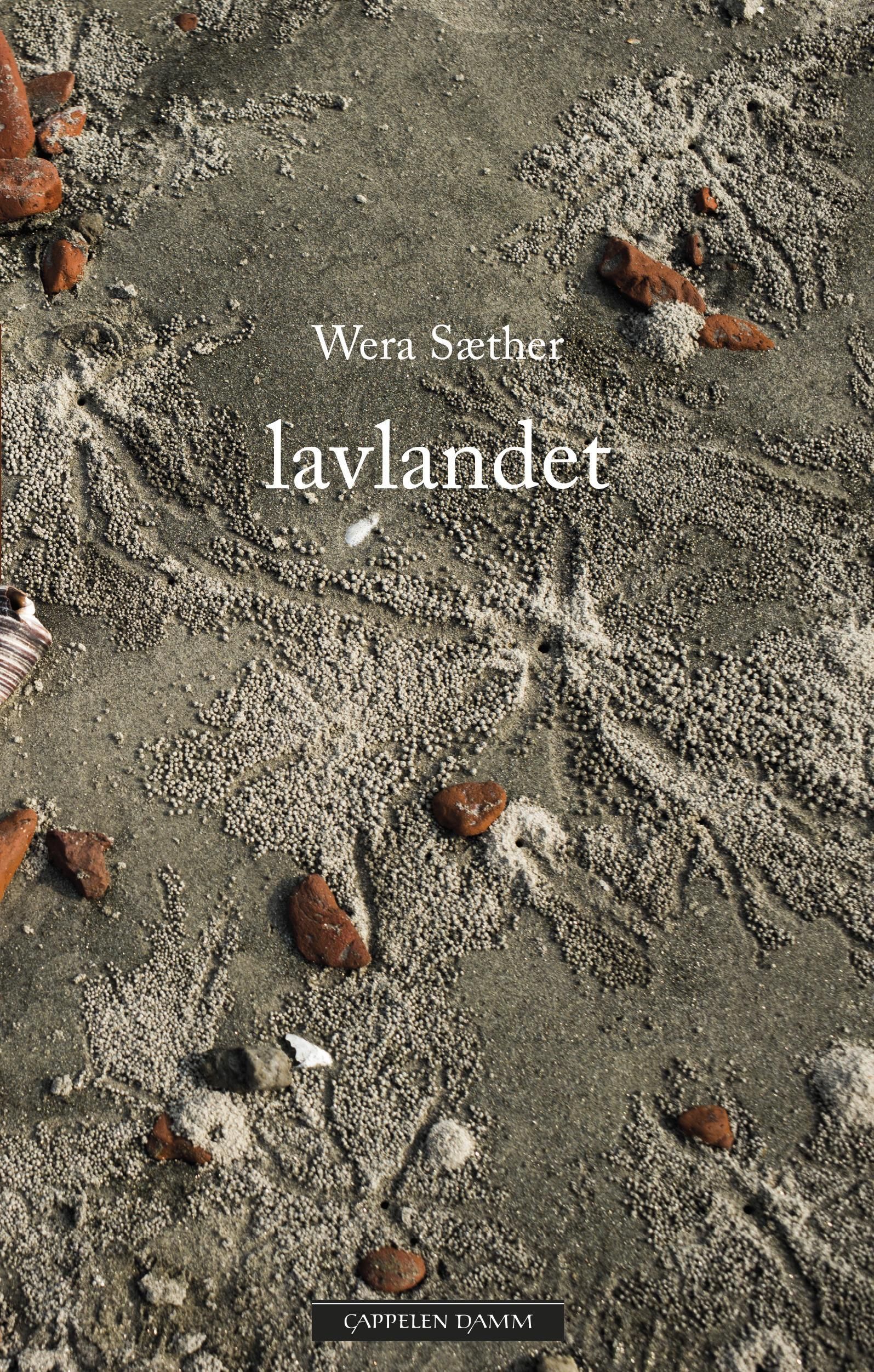 Lavlandet : roman