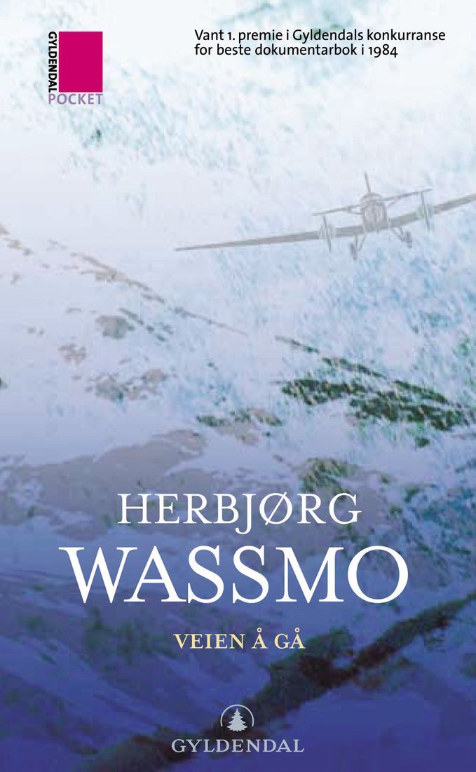 Veien å gå : dokumentarroman