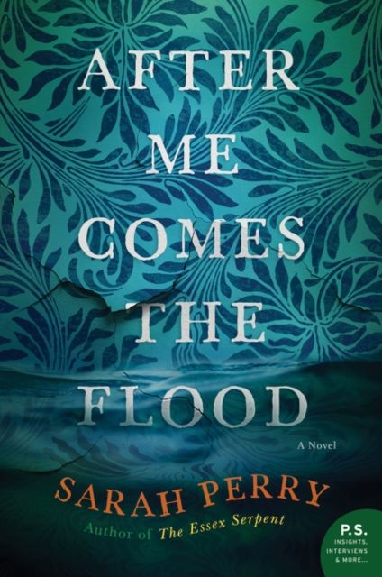 After Me Comes the Flood : A Novel