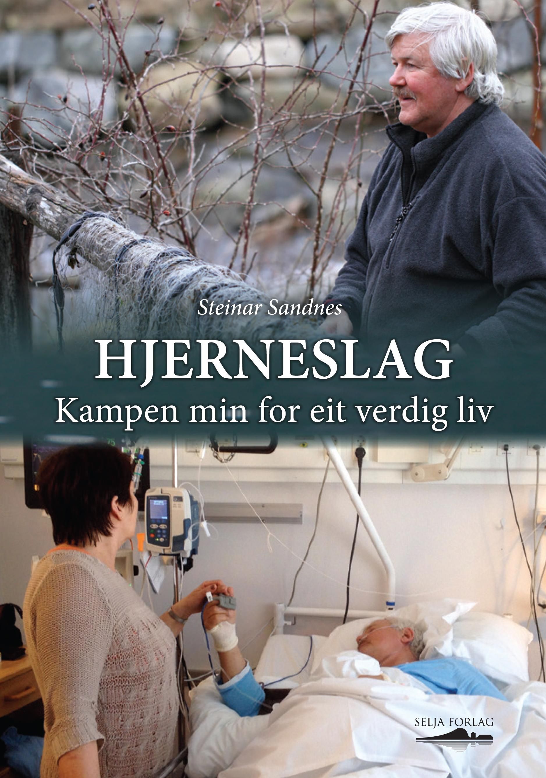 Hjerneslag : kampen min for eit verdig liv