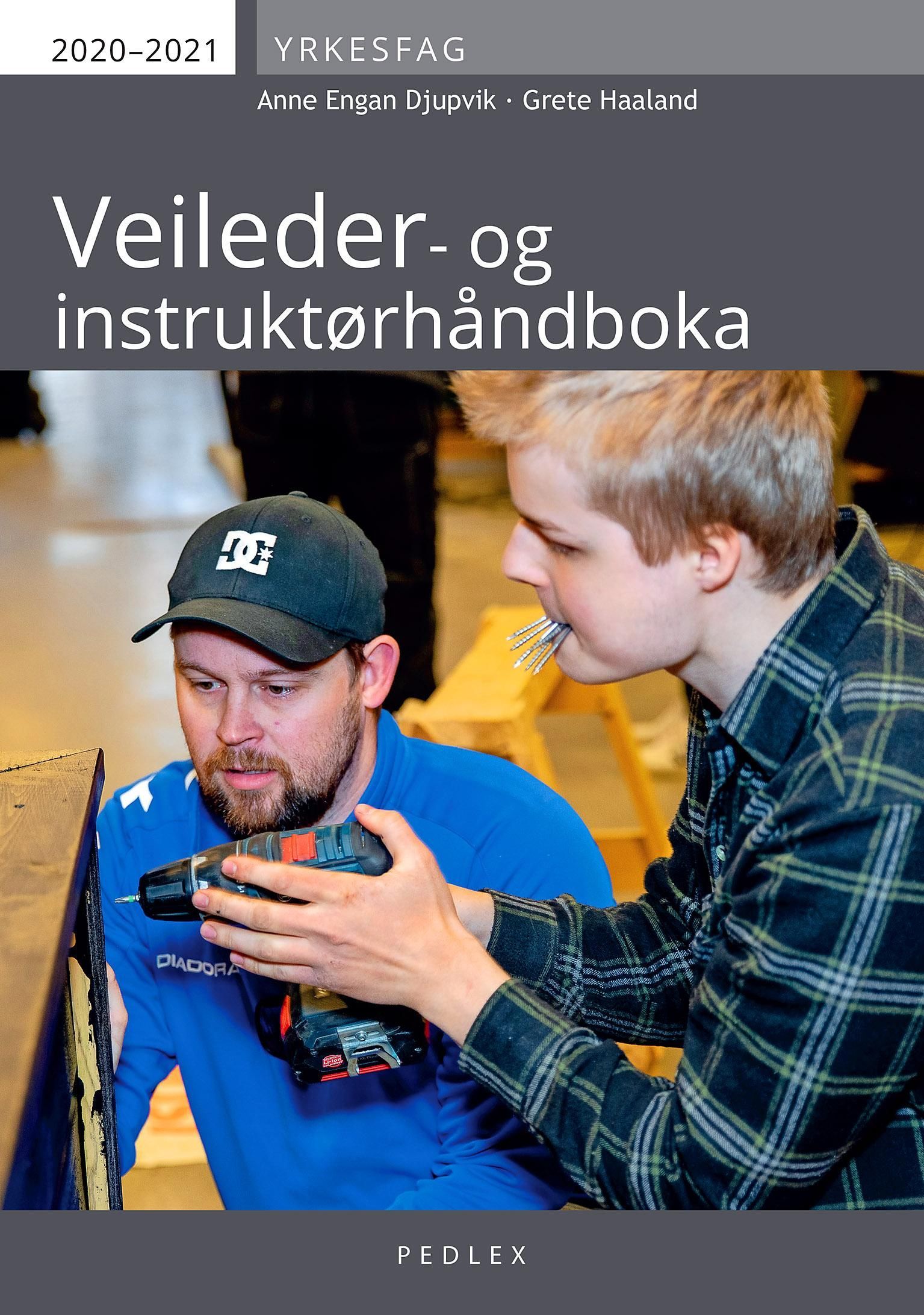 Forsidebilde av Veileder- og instruktørhåndboka
