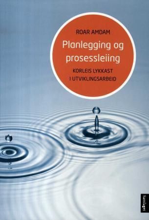 Planlegging og prosessleiing : korleis lykkast i utviklingsarbeid