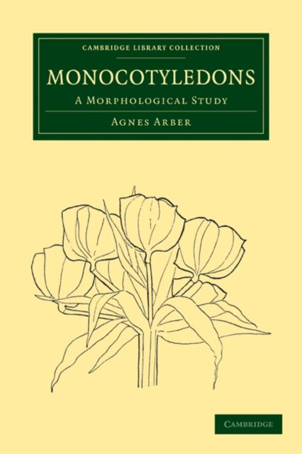 Monocotyledons : A Morphological Study