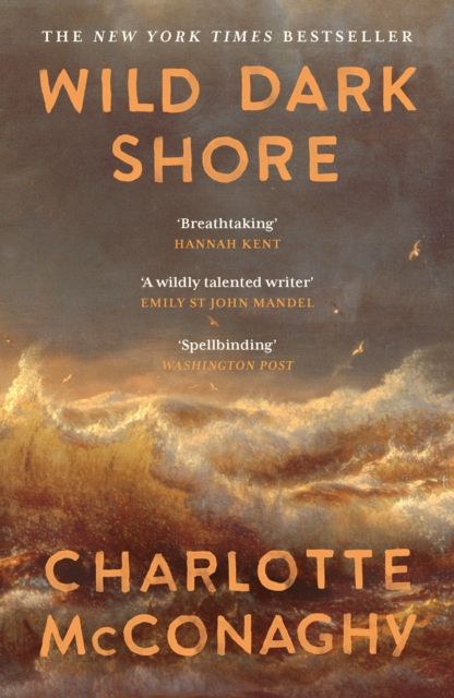 Forsidebilde av Wild Dark Shore