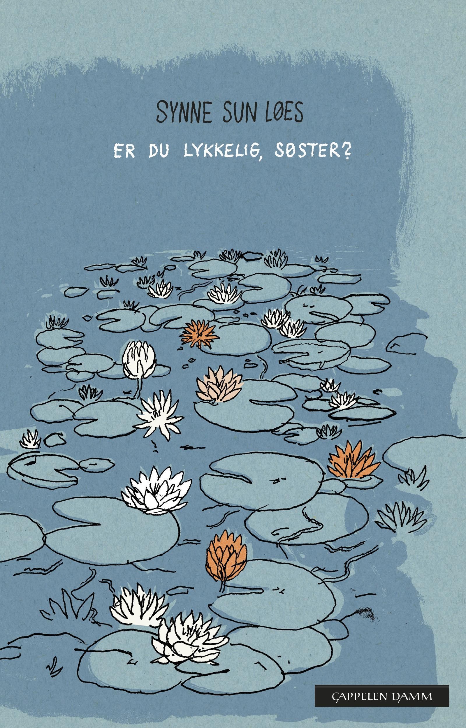 Er du lykkelig, søster? : roman