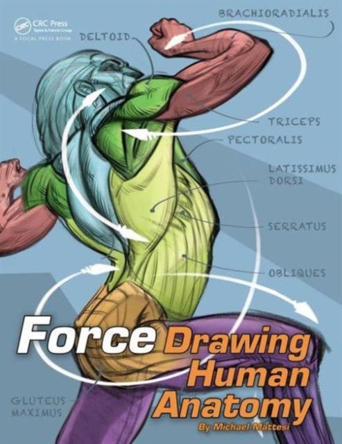 Forsidebilde av FORCE: Drawing Human Anatomy