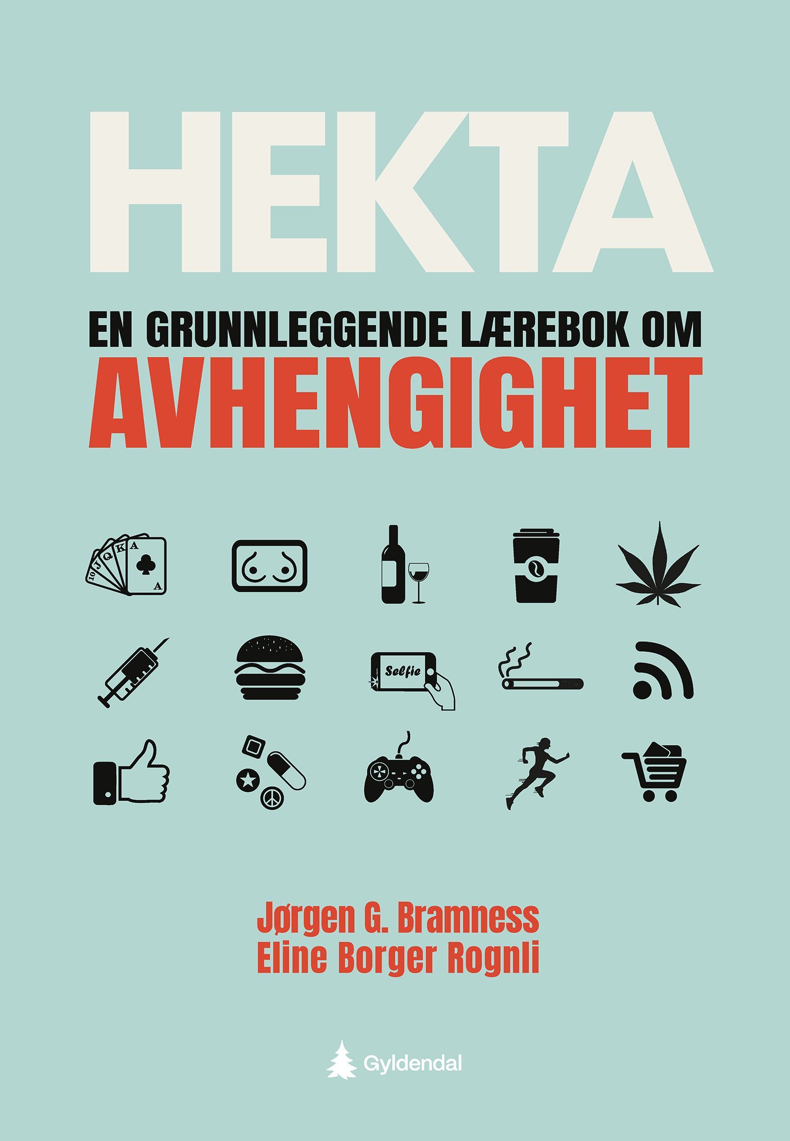 Hekta : en grunnleggende lærebok om avhengighet