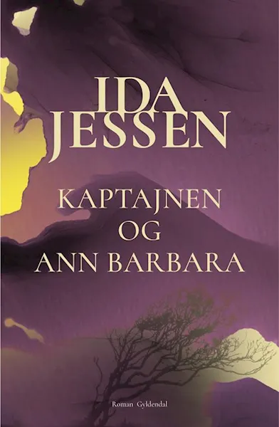 Forsidebilde av Kaptajnen og Ann Barbara : roman