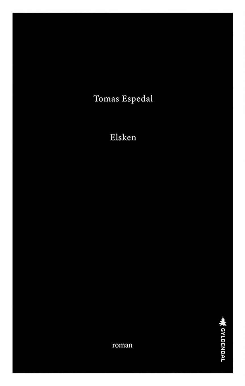 Elsken : roman