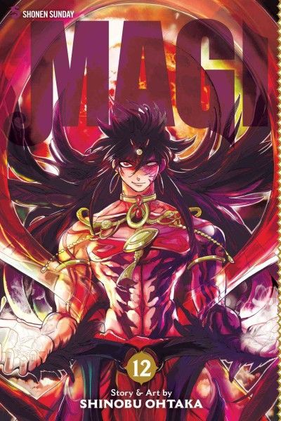 Magi : the labyrinth of magic. 12