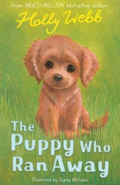 The puppy who ran away