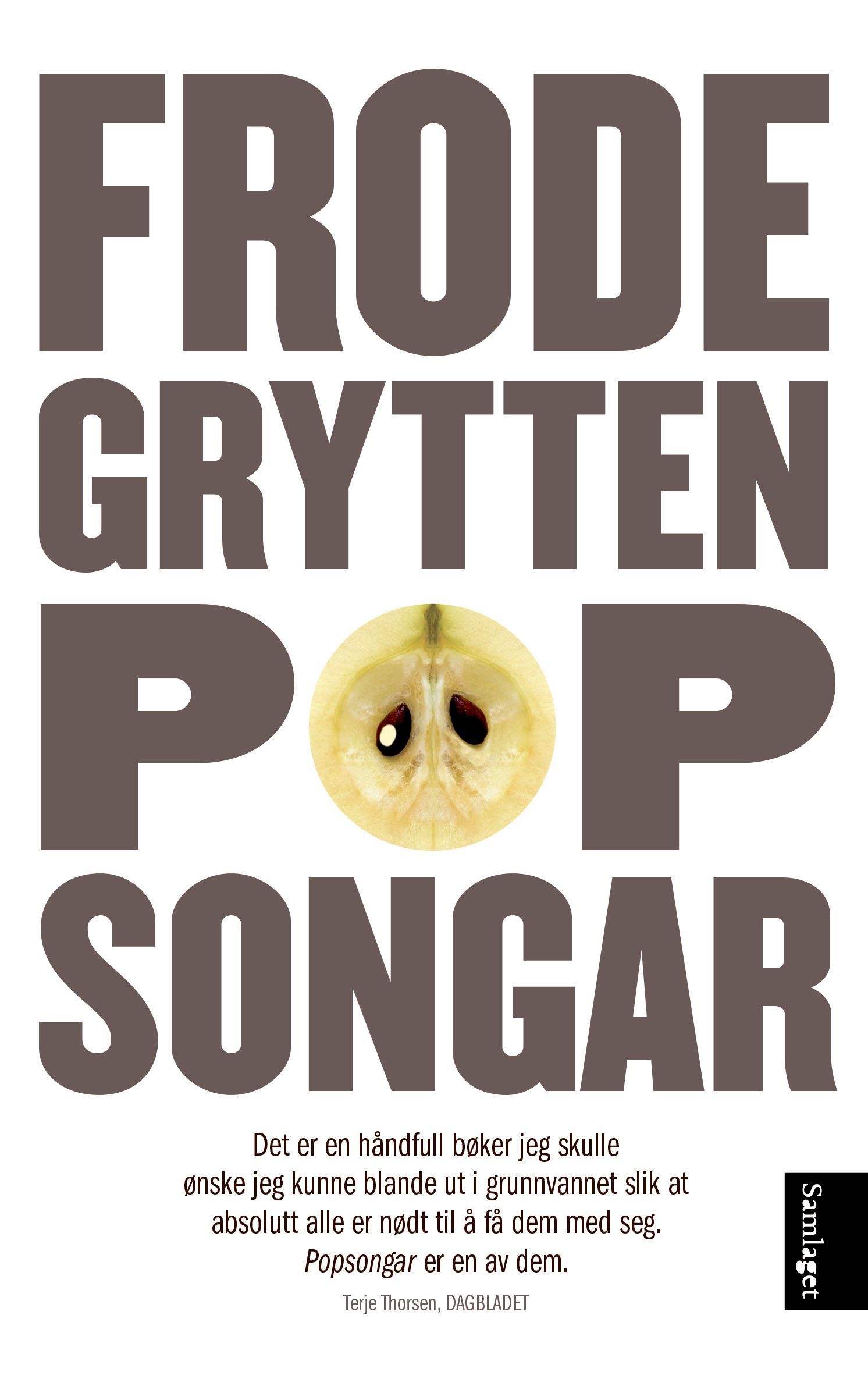 Popsongar : noveller