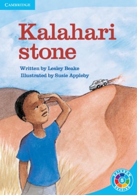 Kalahari Stone : What's the Plot?