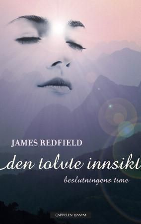 Den tolvte innsikt : beslutningens time