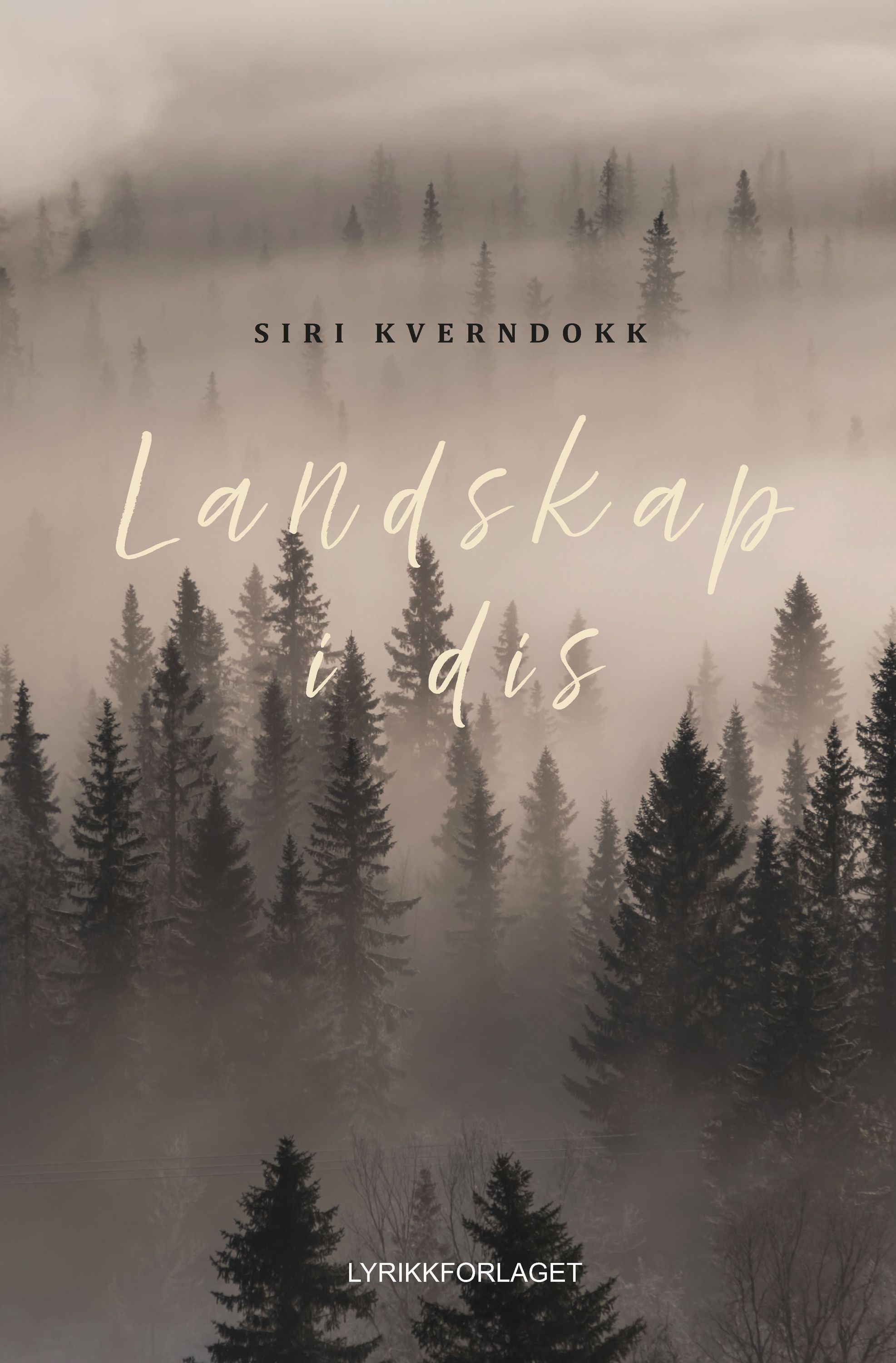 Landskap i dis : (dikt 2017-2023)