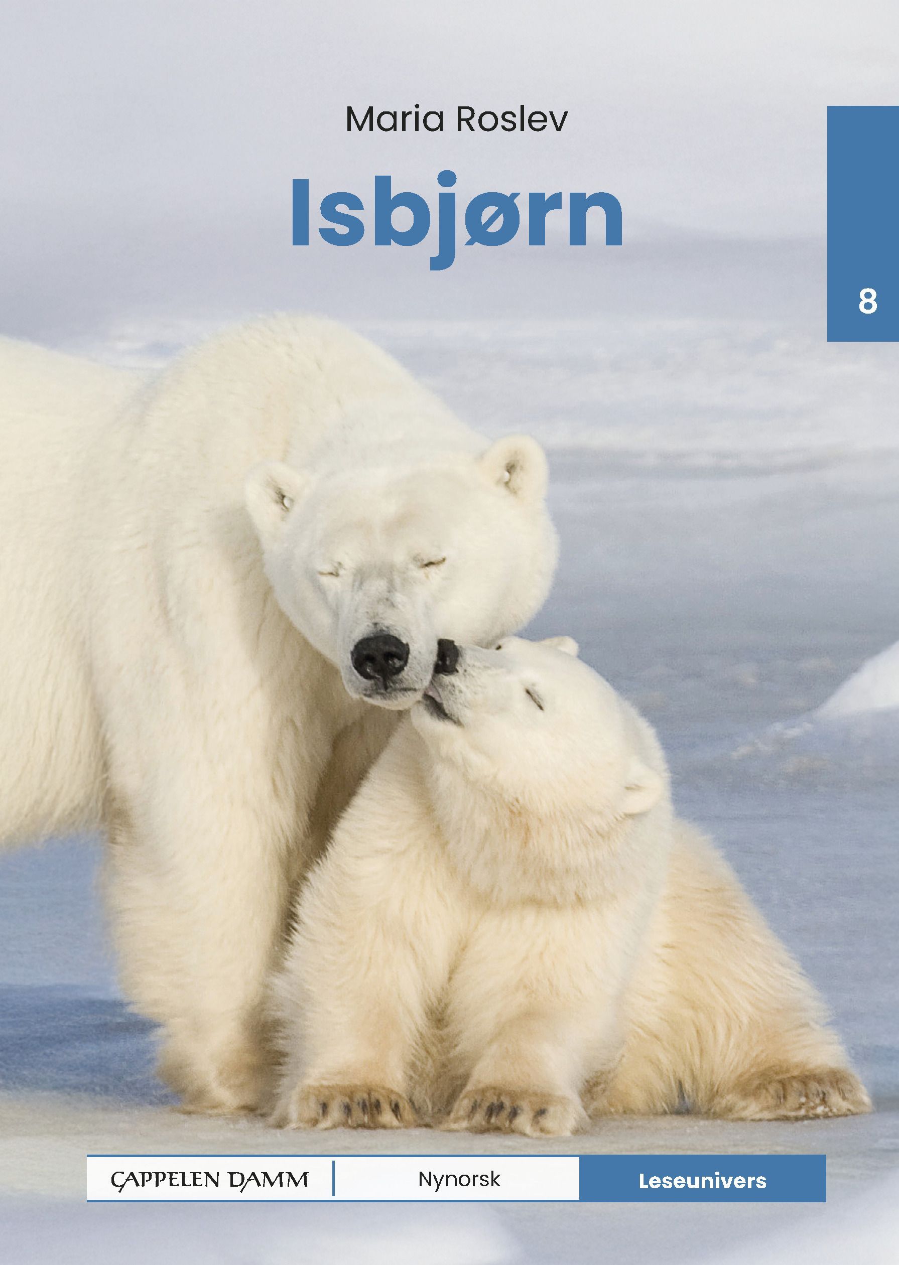 Isbjørn