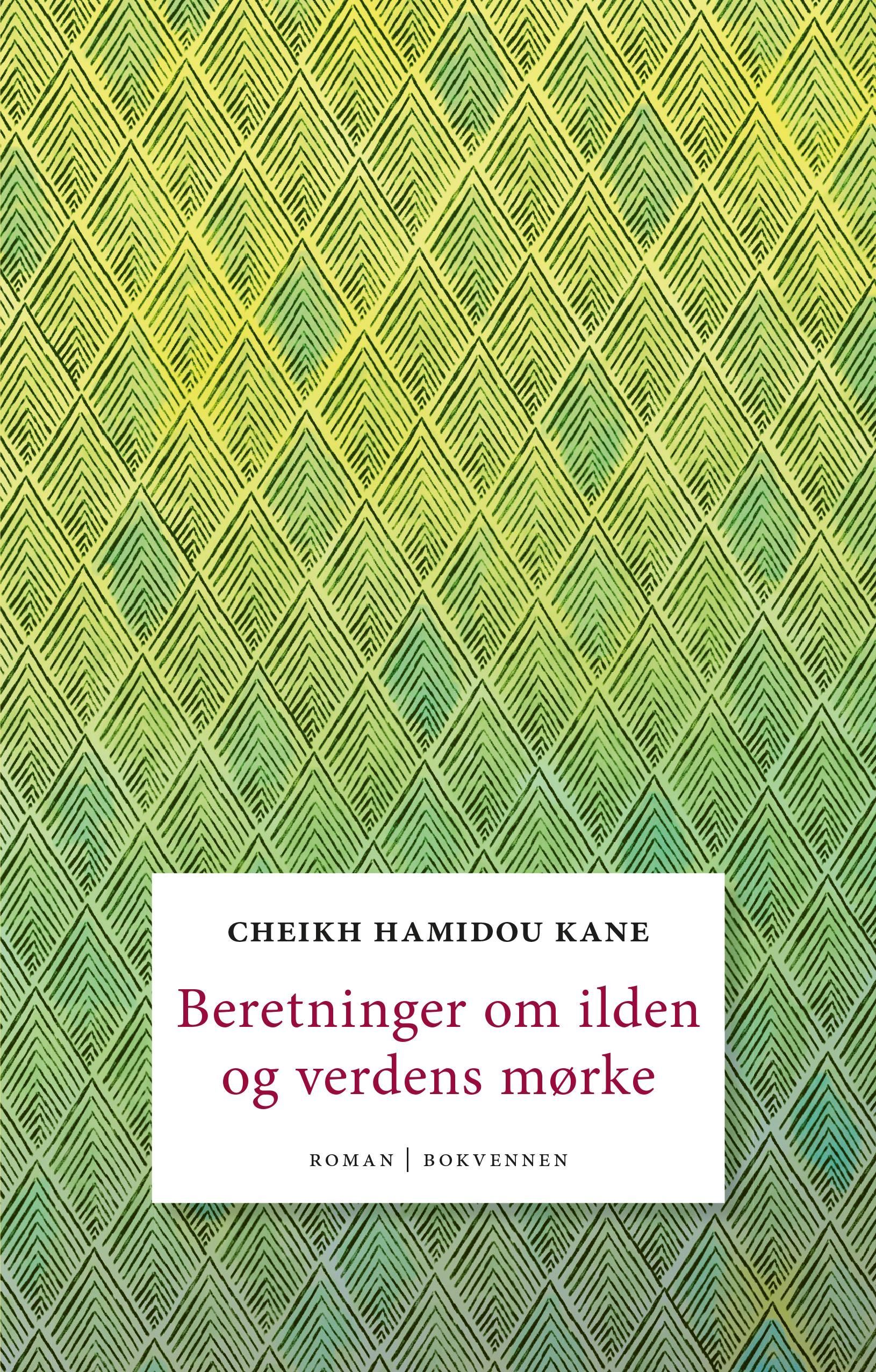 Beretninger om ilden og verdens mørke : roman