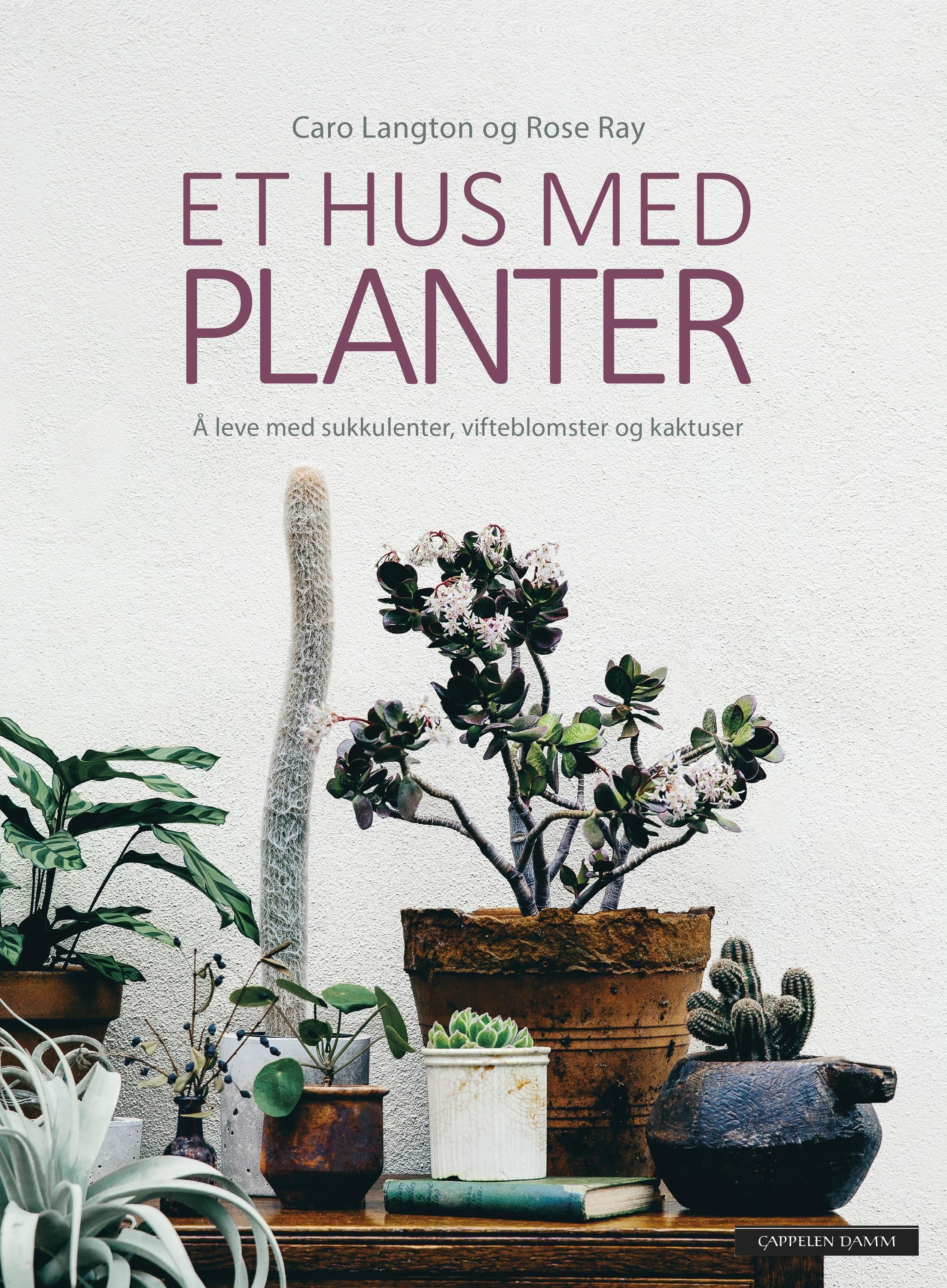 Et hus med planter : å leve med sukkulenter, vifteblomster og kaktuser