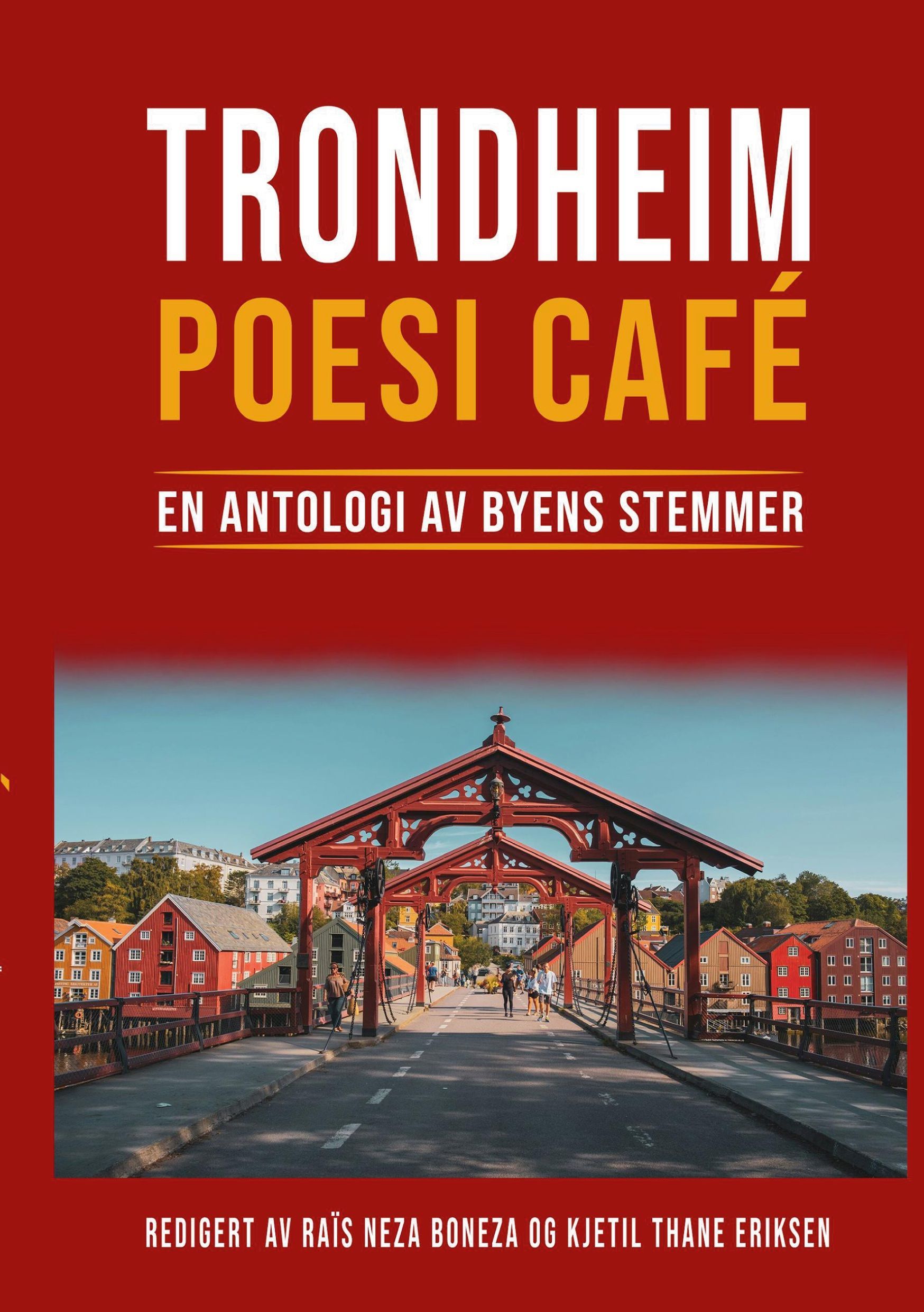 Trondheim poesi café : en antologi av byens stemmer
