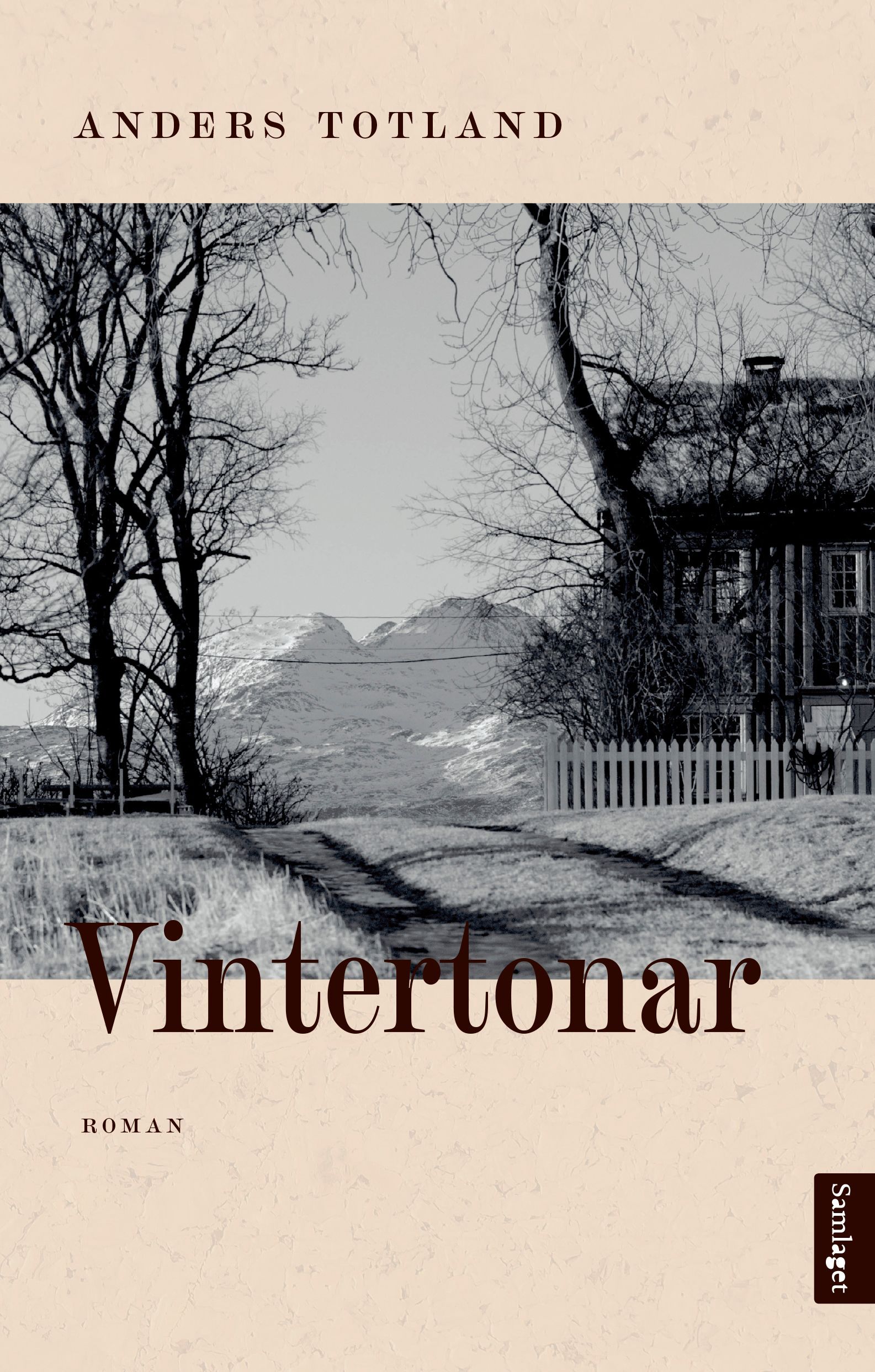 Vintertonar : roman