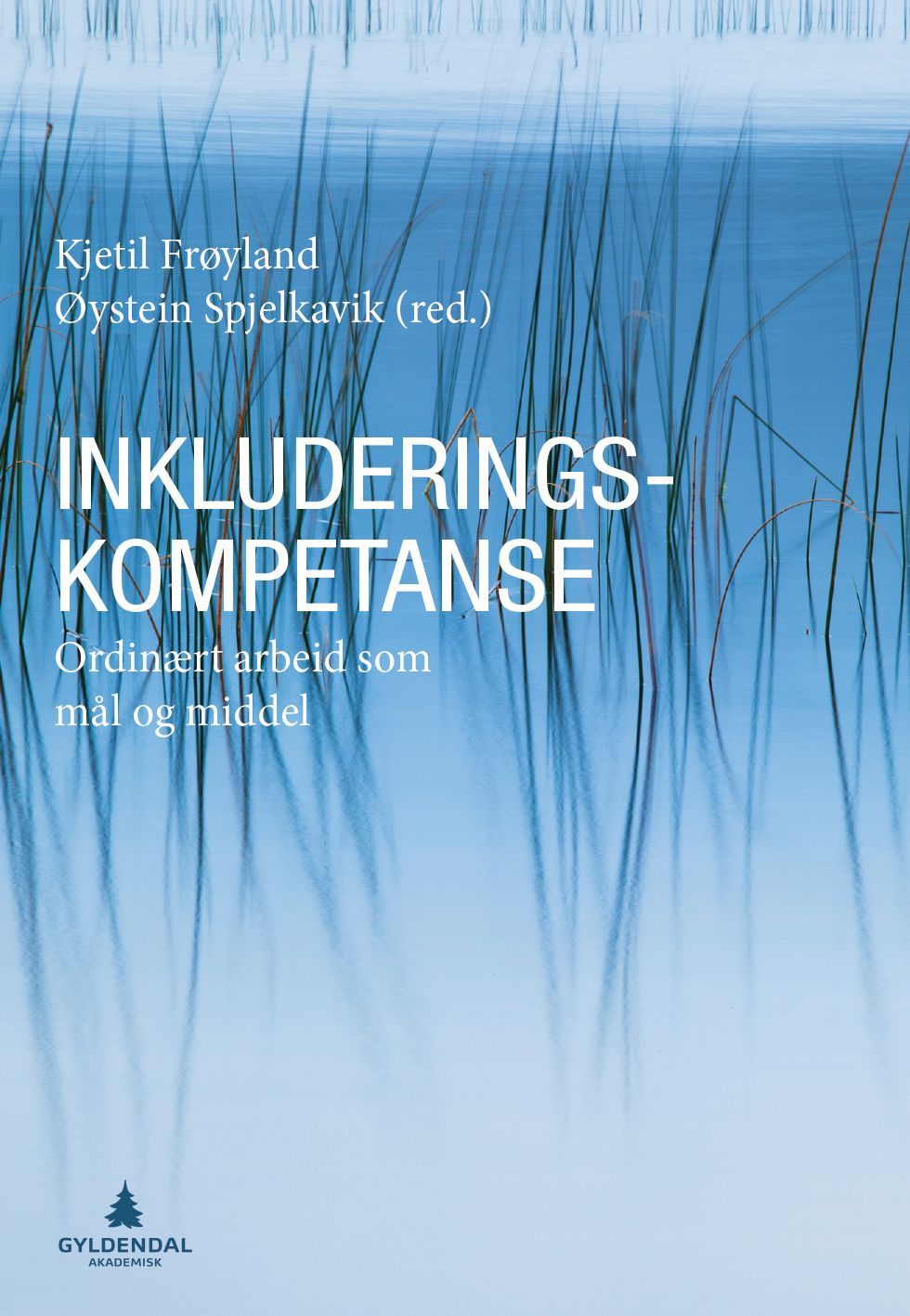 Inkluderingskompetanse : ordinært arbeid som mål og middel